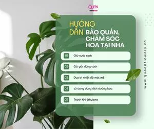 Hướng Dẫn Bảo Quản, Chăm Sóc Hoa Tại Nhà